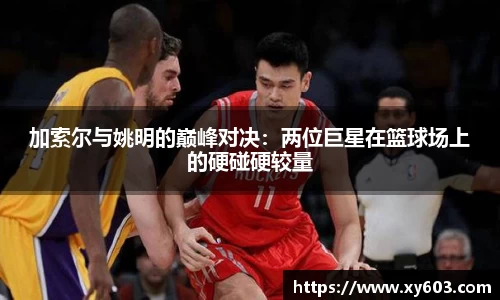 加索尔与姚明的巅峰对决：两位巨星在篮球场上的硬碰硬较量